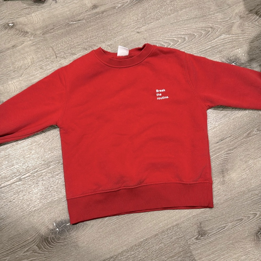 Zara Basic Red Sweatshirt